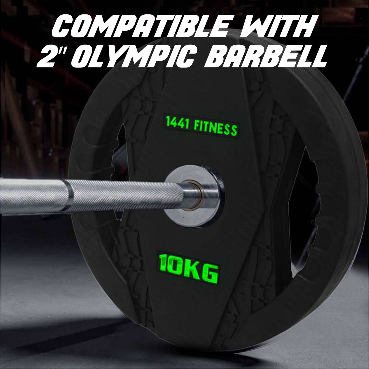 1441 Fitness Dual Grip Olympic Weight Plate