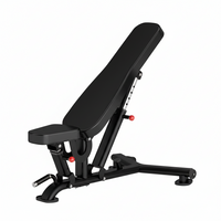 Thumbnail for Insight Fitness Adjustable Bench - DR016 on a white background