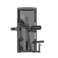 Thumbnail for Insight Fitness Lateral Raise - SA034 with various attachments on a white background