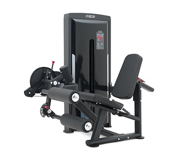Insight Fitness Leg Curl & Leg Extension - SA025 on a white background