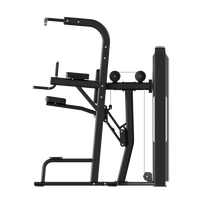 Thumbnail for Insight Fitness SA Series Assisted Chin Up - SA008 on a white background