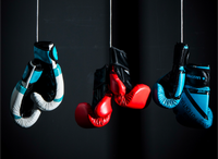 Thumbnail for Livepro Sparring Gloves14 Oz Red - LP8600