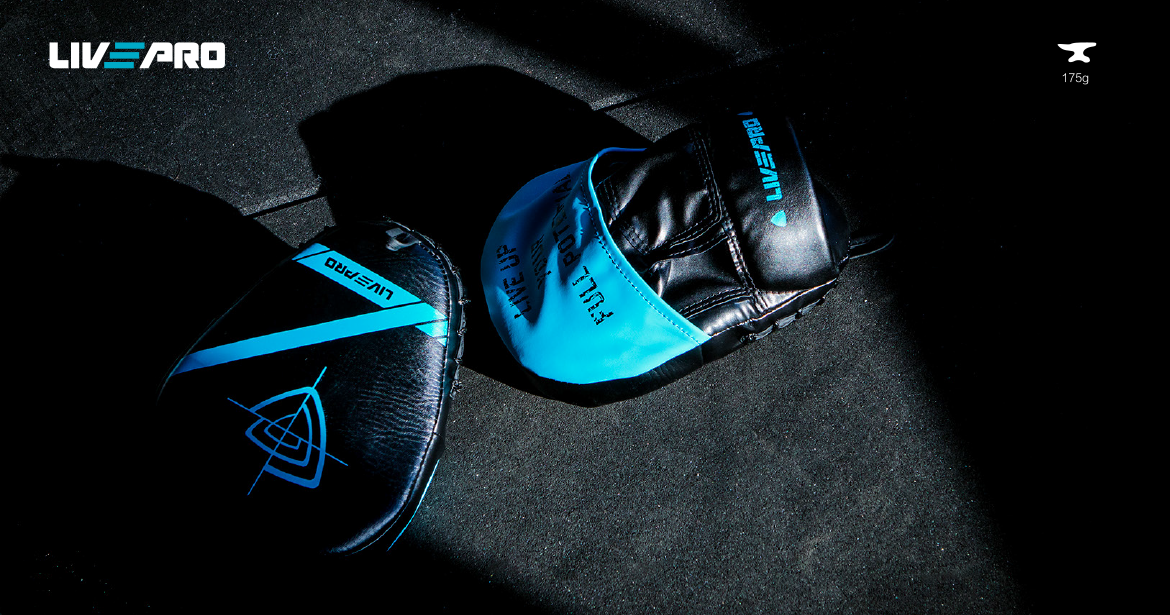 Livepro Boxing Focus Pads - LP8604