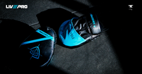 Thumbnail for Livepro Boxing Focus Pads - LP8604