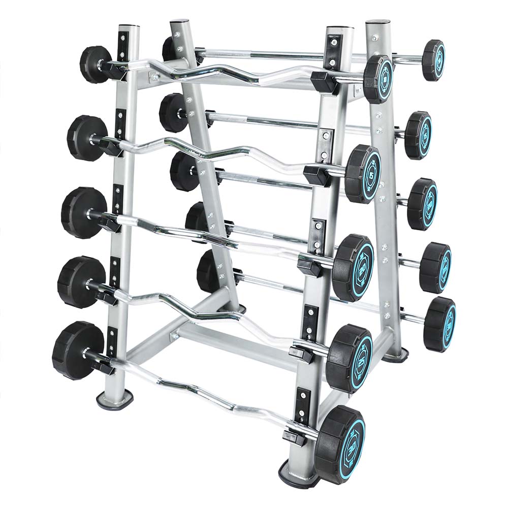 Fixed Straight & Curl Barbell Weight Set with Rack