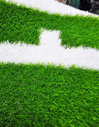 Thumbnail for Sled Track Grass with Marking - 10 x 2 Meters (Green)