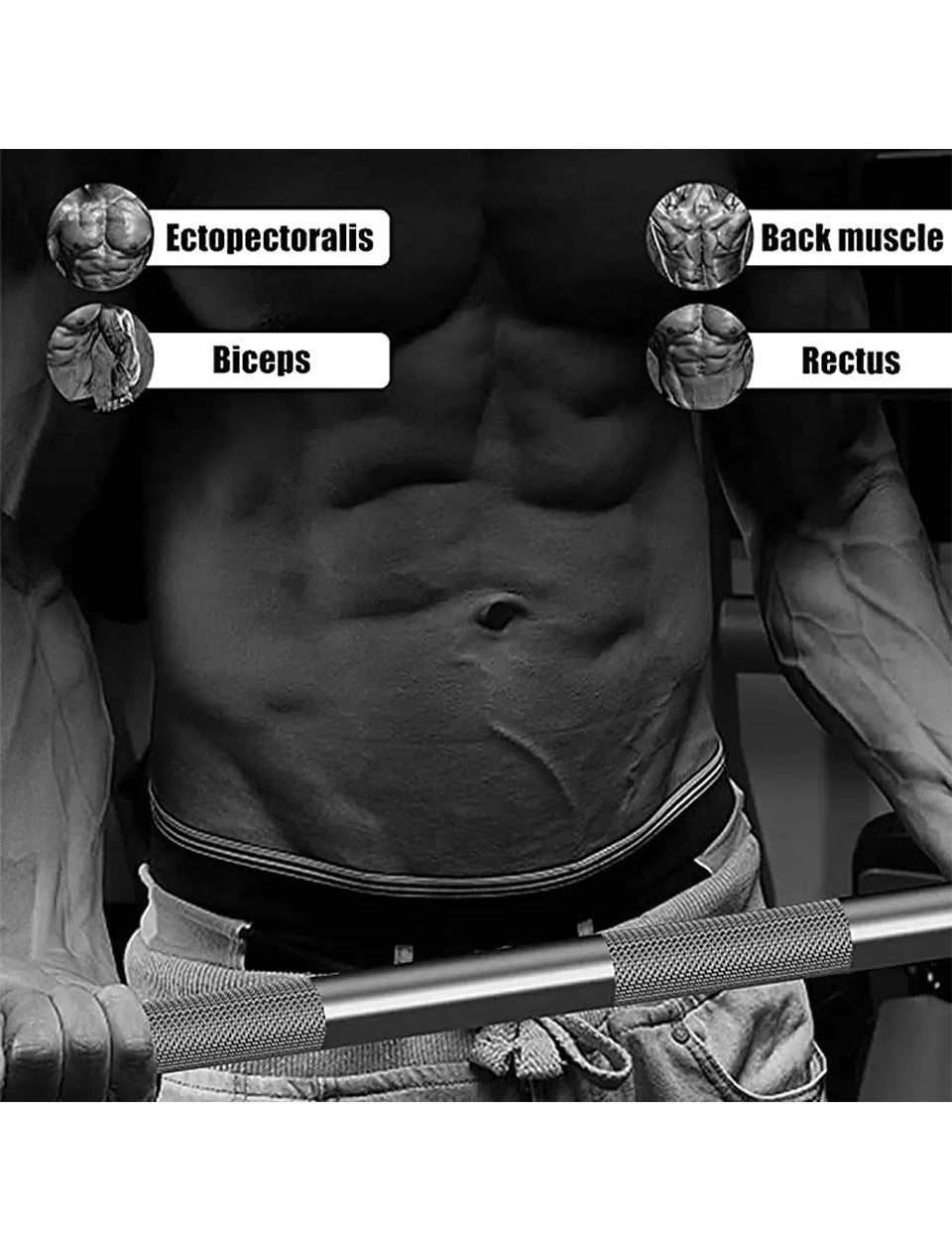 Olympic Straight Bar-works out your chest, back, biceps, and abdomen
