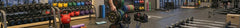Free Weights