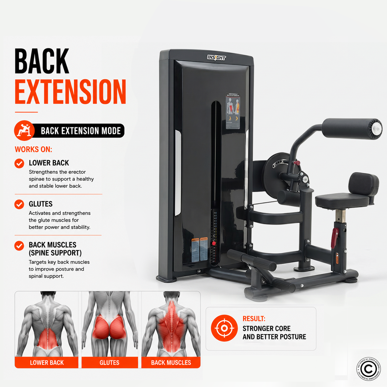 Insight Fitness SA Series Abdominal Back Extension - SA009D