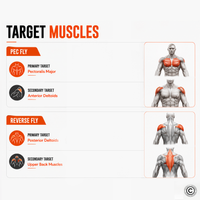 Thumbnail for Insight Fitness Pec Fly / Rear Delt - SA003