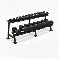 Thumbnail for 1441 Fitness 2 Tier Hex Dumbbell Rack