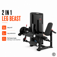 Thumbnail for Insight Fitness Leg Curl & Leg Extension - SA025