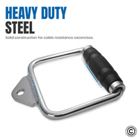 Thumbnail for Lat Attachment - Single D Handle