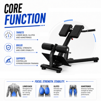 Thumbnail for Insight Fitness Back Extension - DR010