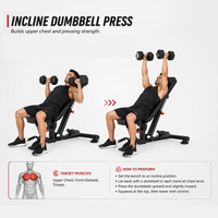 Thumbnail for Insight Fitness Adjustable Bench - DR016