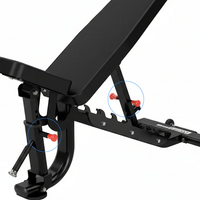 Thumbnail for Insight Fitness Adjustable Bench - DR034
