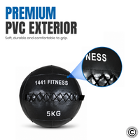 Thumbnail for Premium Wall Balls - ( 3 KG to 15 KG)