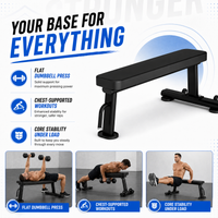 Thumbnail for Insight Fitness Flat Bench - DR014