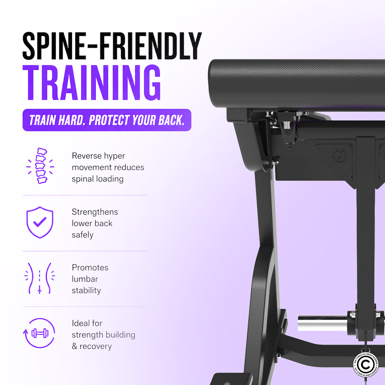 Insight Fitness Reverse Hyper - PB407