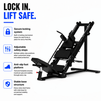 Thumbnail for Insight Fitness Leg Press / Hack Squat - DR003