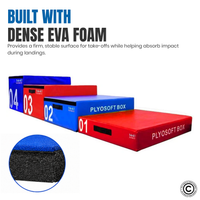 Thumbnail for 4 in 1 Adjustable Plyo Box