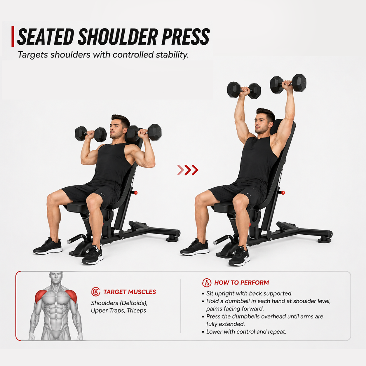 Insight Fitness Adjustable Bench - DR016