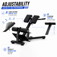 Thumbnail for Insight Fitness Back Extension - DR010