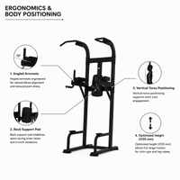Thumbnail for Insight Fitness Vertical Knee Rise / Dip - DR008