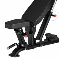 Thumbnail for Insight Fitness Adjustable Bench - DR016