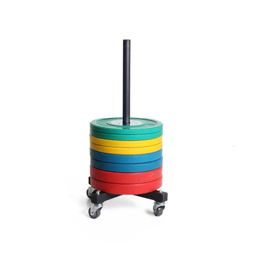 1441 Fitness Bumper Plates Rack