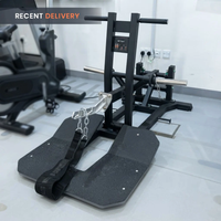 Thumbnail for Insight Fitness Belt Squat - PB312