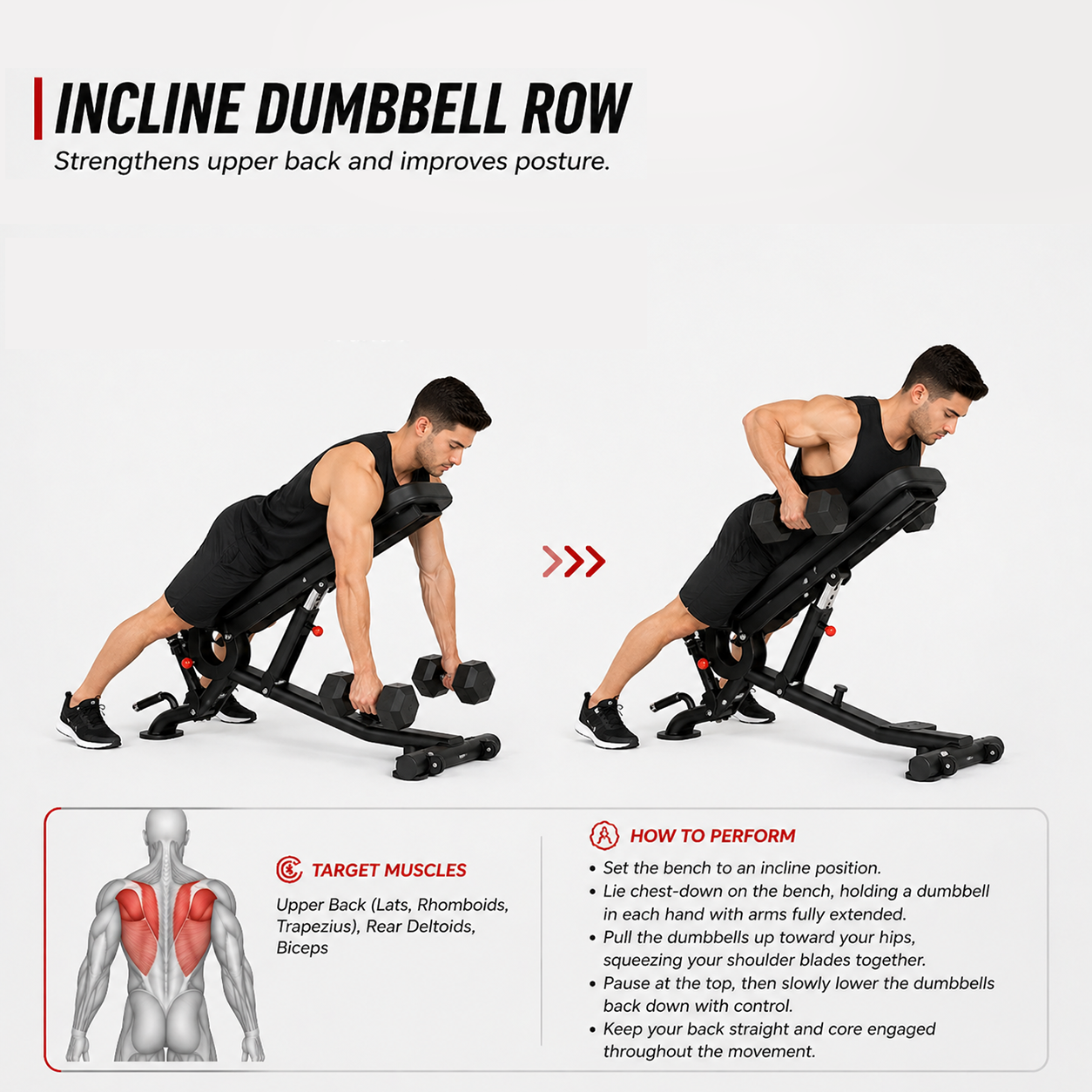 Insight Fitness Adjustable Bench - DR016