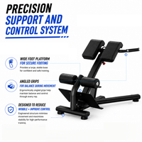 Thumbnail for Insight Fitness Back Extension - DR010