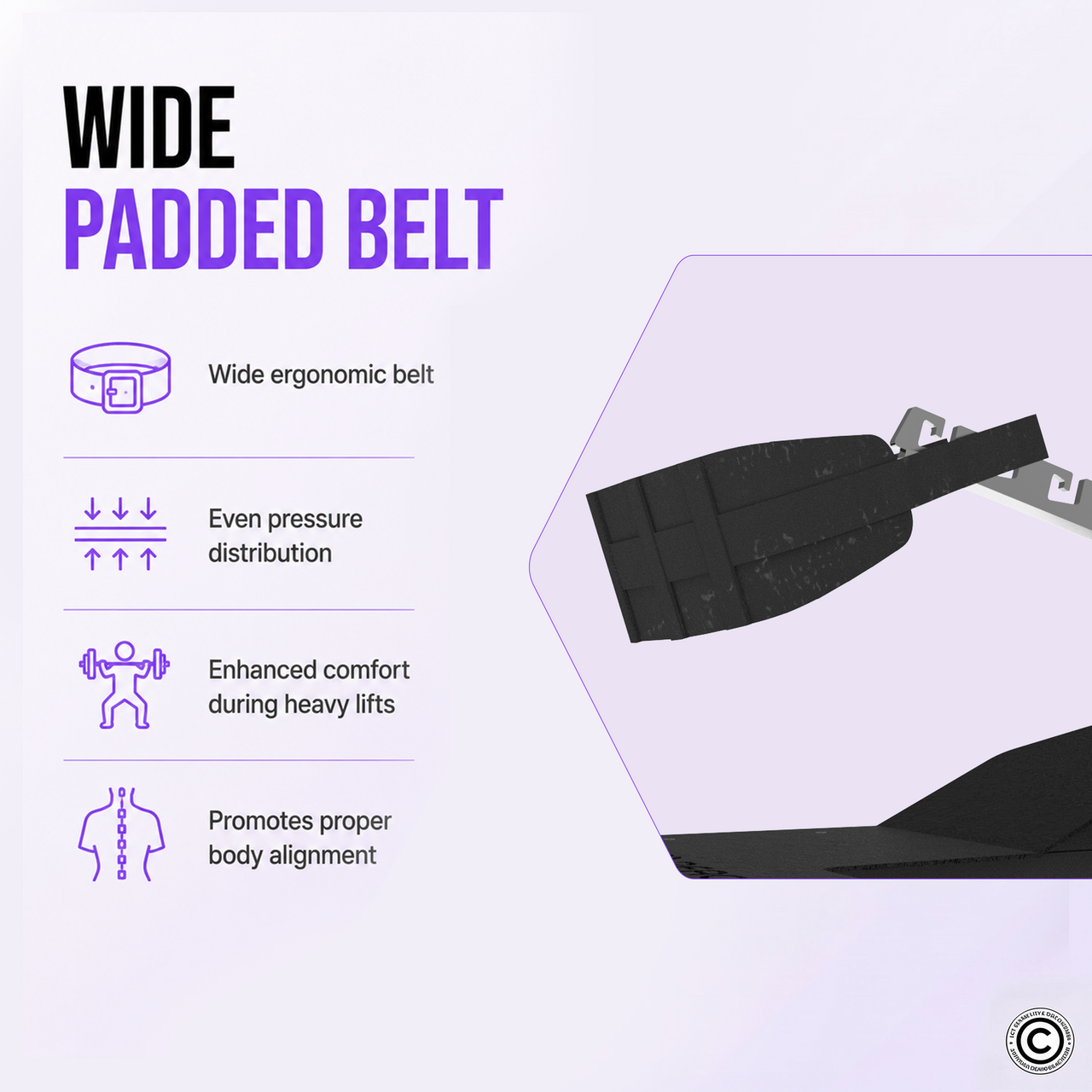 Insight Fitness Belt Squat - PB312