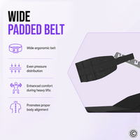 Thumbnail for Insight Fitness Belt Squat - PB312