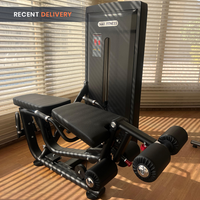 Thumbnail for Insight Fitness Prone Leg Curl & Leg Extension - SA031