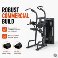 Thumbnail for Insight Fitness SA Series Assisted Chin Up - SA008