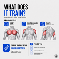 Thumbnail for Insight Fitness Chest Press SH001