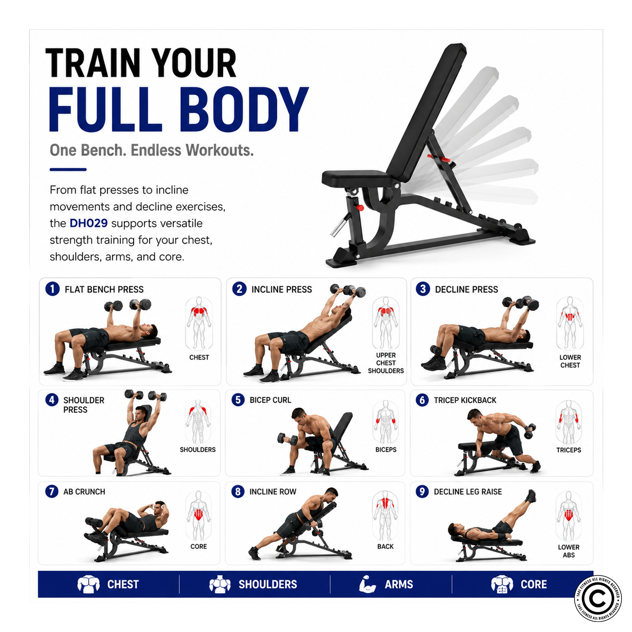 Insight Fitness Flat / Incline / Decline Bench - DH029