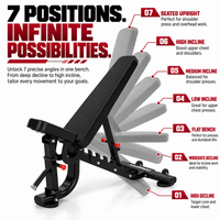 Thumbnail for Insight Fitness Adjustable Bench - DR034