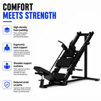 Thumbnail for Insight Fitness Leg Press / Hack Squat - DR003