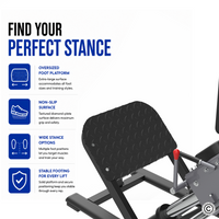 Thumbnail for Insight Fitness Hack Squat  - SH009