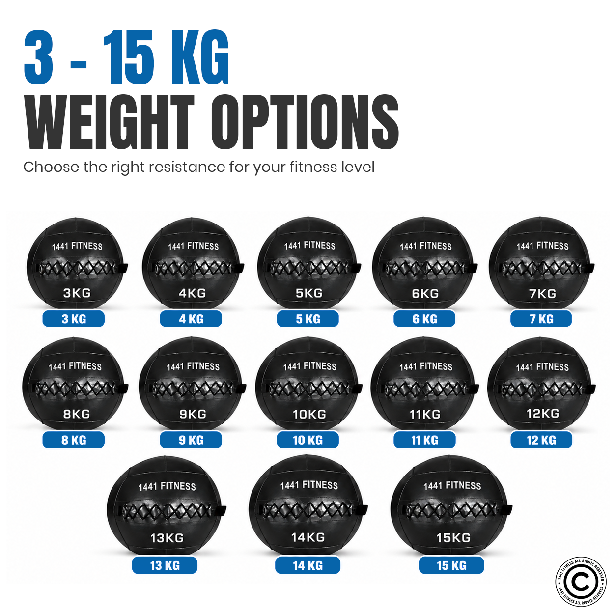 Premium Wall Balls - ( 3 KG to 15 KG)