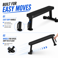 Thumbnail for Insight Fitness Flat Bench - DR014