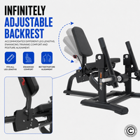 Thumbnail for Insight Fitness Leg Extension - SH017