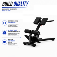 Thumbnail for Insight Fitness Back Extension - DR010