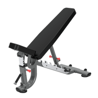 Thumbnail for Insight Fitness Adjustable Bench - DR034