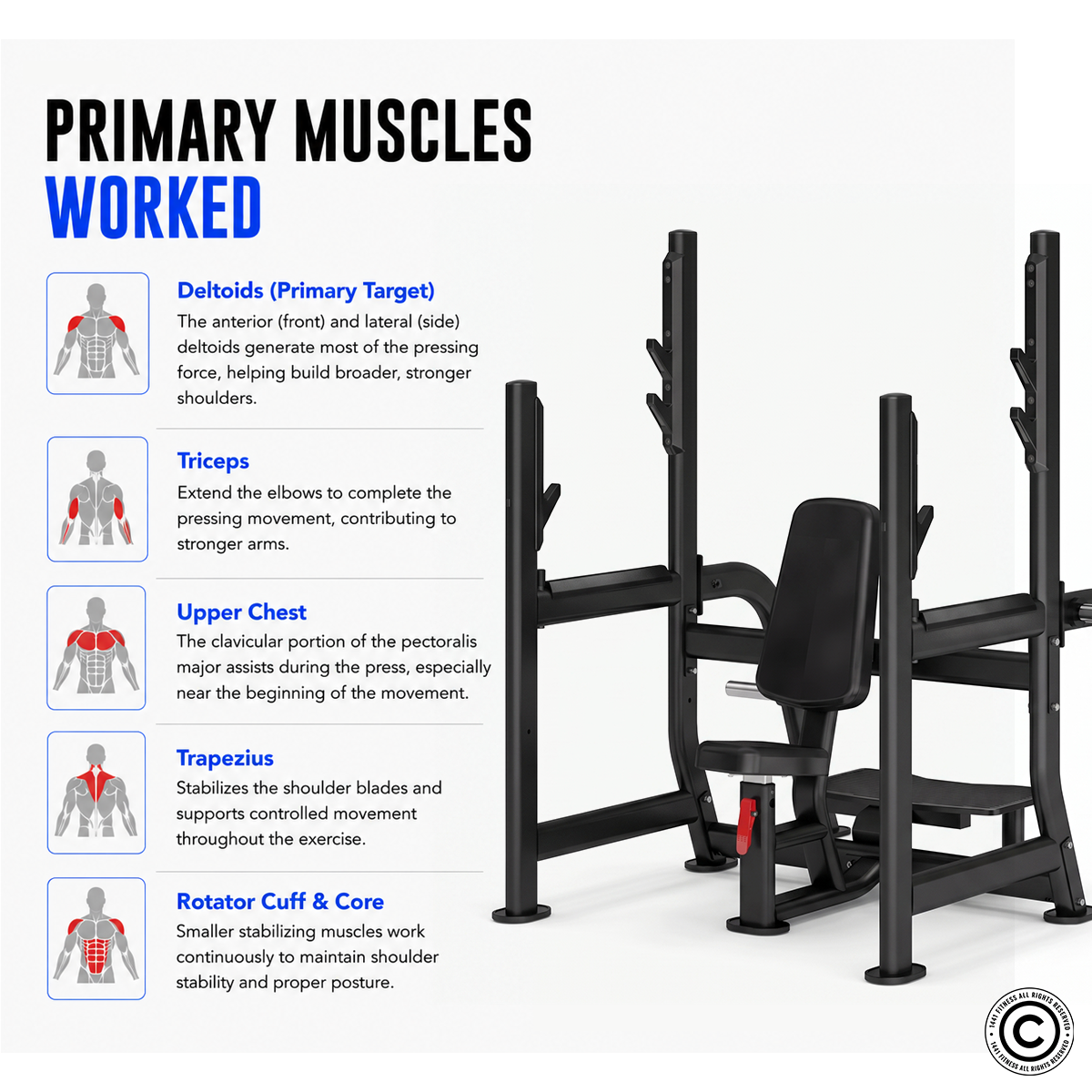 Insight Shoulder Press - DR029