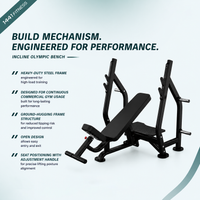 Thumbnail for Insight Fitness Incline Olympic Bench - DR005