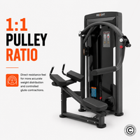 Thumbnail for Insight Fitness Glute - SA032
